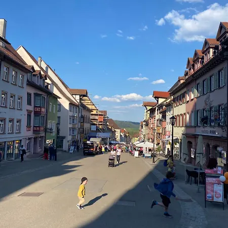 Gemuetliche Bei Rottweil - Stadt Der Tuerme Apartment